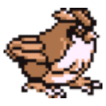 Pidgey Image