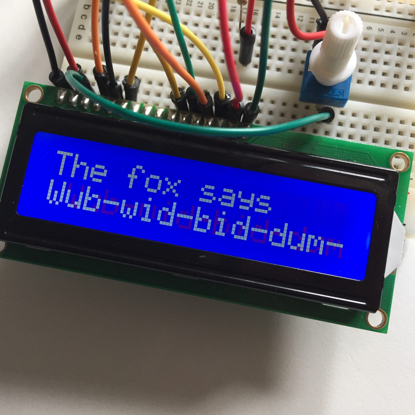 What Does The Fox Say? (Arduino LCD Version)